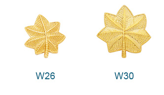 Oak Leaf insignia